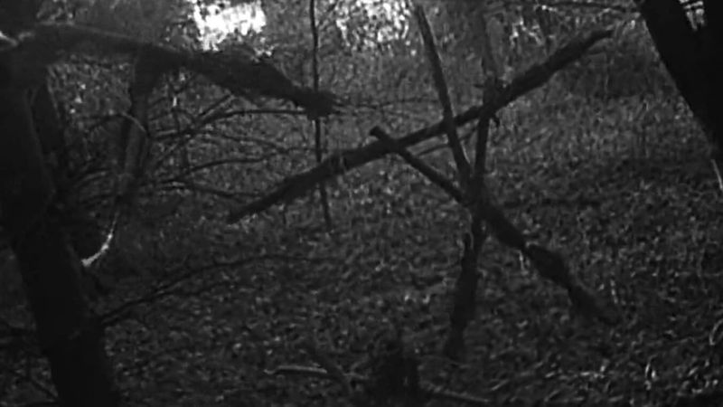 The Blair Witch Project (1999)