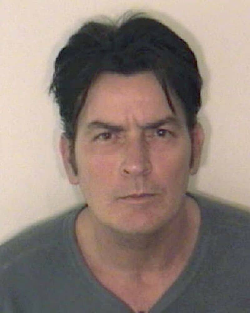 Charlie Sheen (2010)